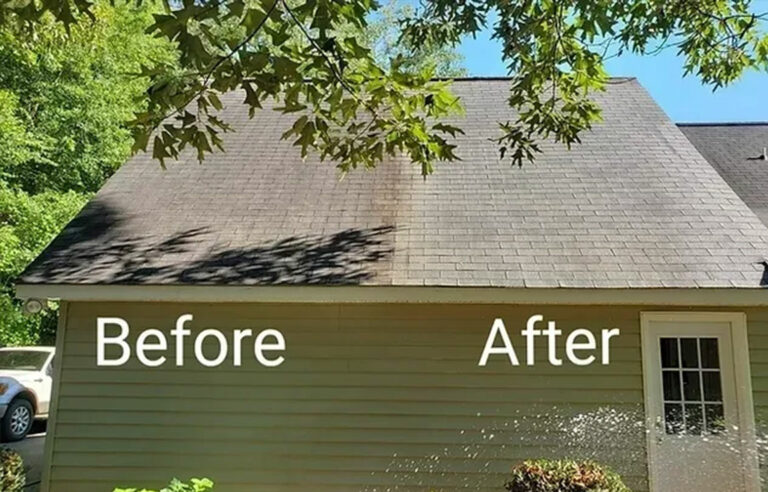 Soft Wash System for Exterior House Cleaning | Softwash Hawaii