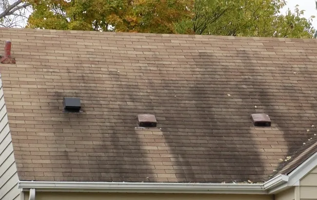 Dirty Asphalt Shingle Roof