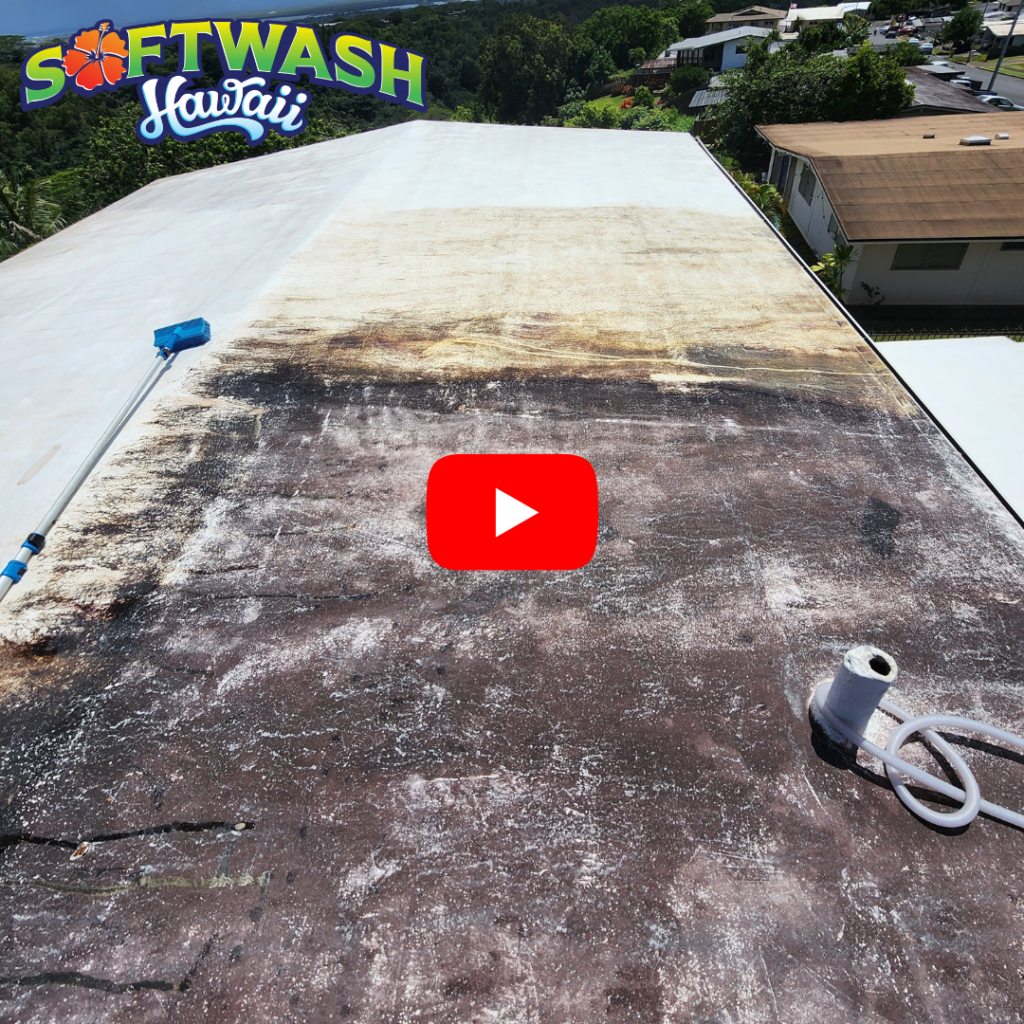 Roof cleaning pearl city