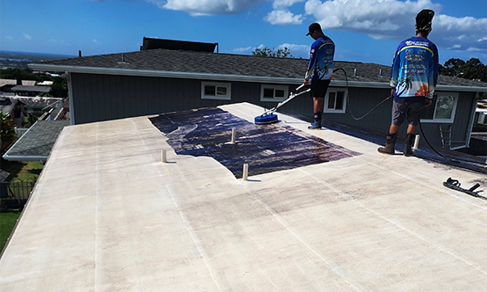 Two workerts soft washing flat roof